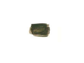 Pigmentas umbra natūrali tamsi 50g ru
